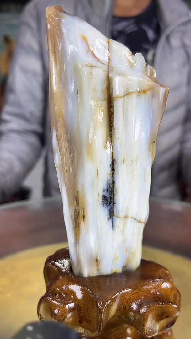 未镶嵌珠宝奇石硅化玉缅甸天然树化玉摆件