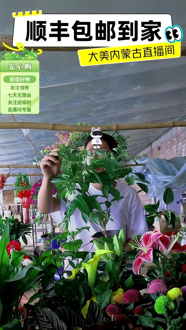 完全开放大颗丁香花