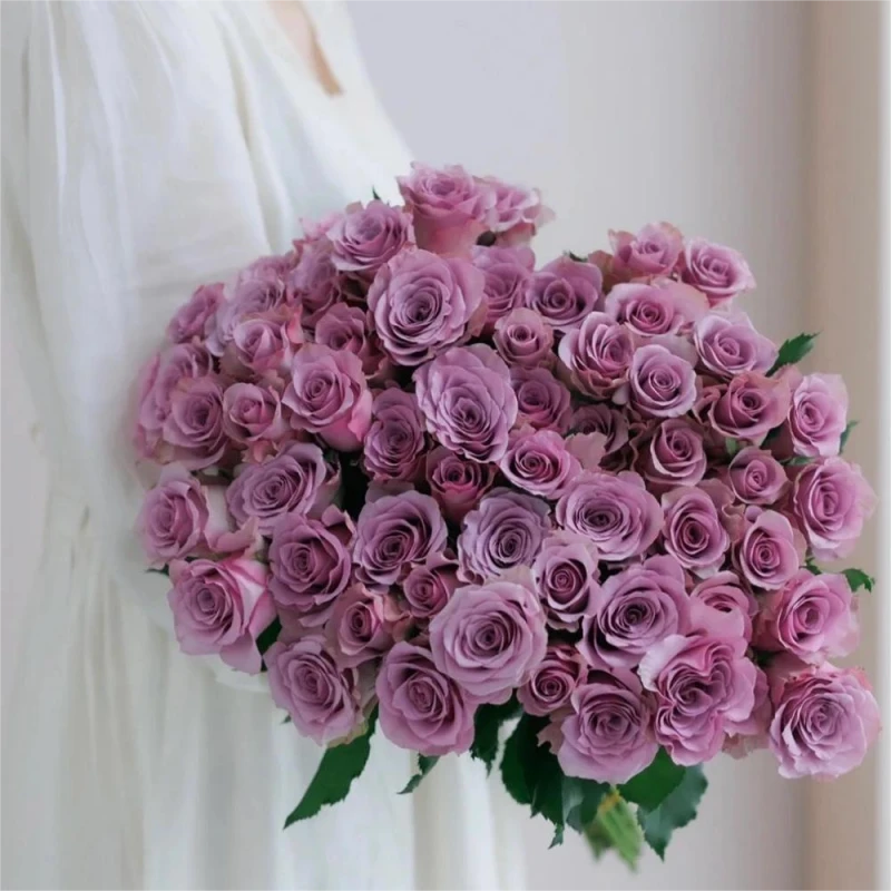 【紫气东来】紫霞仙子单头玫瑰10枝鲜花次日达批发直播品质鲜花 全场任意满两单顺丰包邮