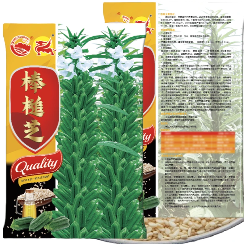 摇钱芝棒槌芝白芝麻种，优质高产早熟中熟