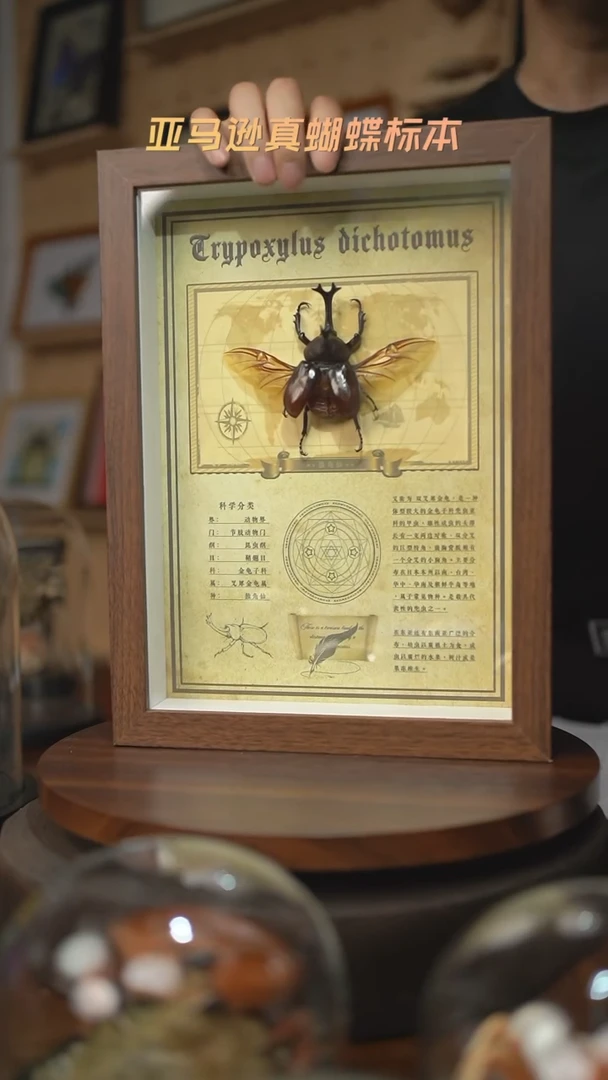 独角仙复古版A4复古框