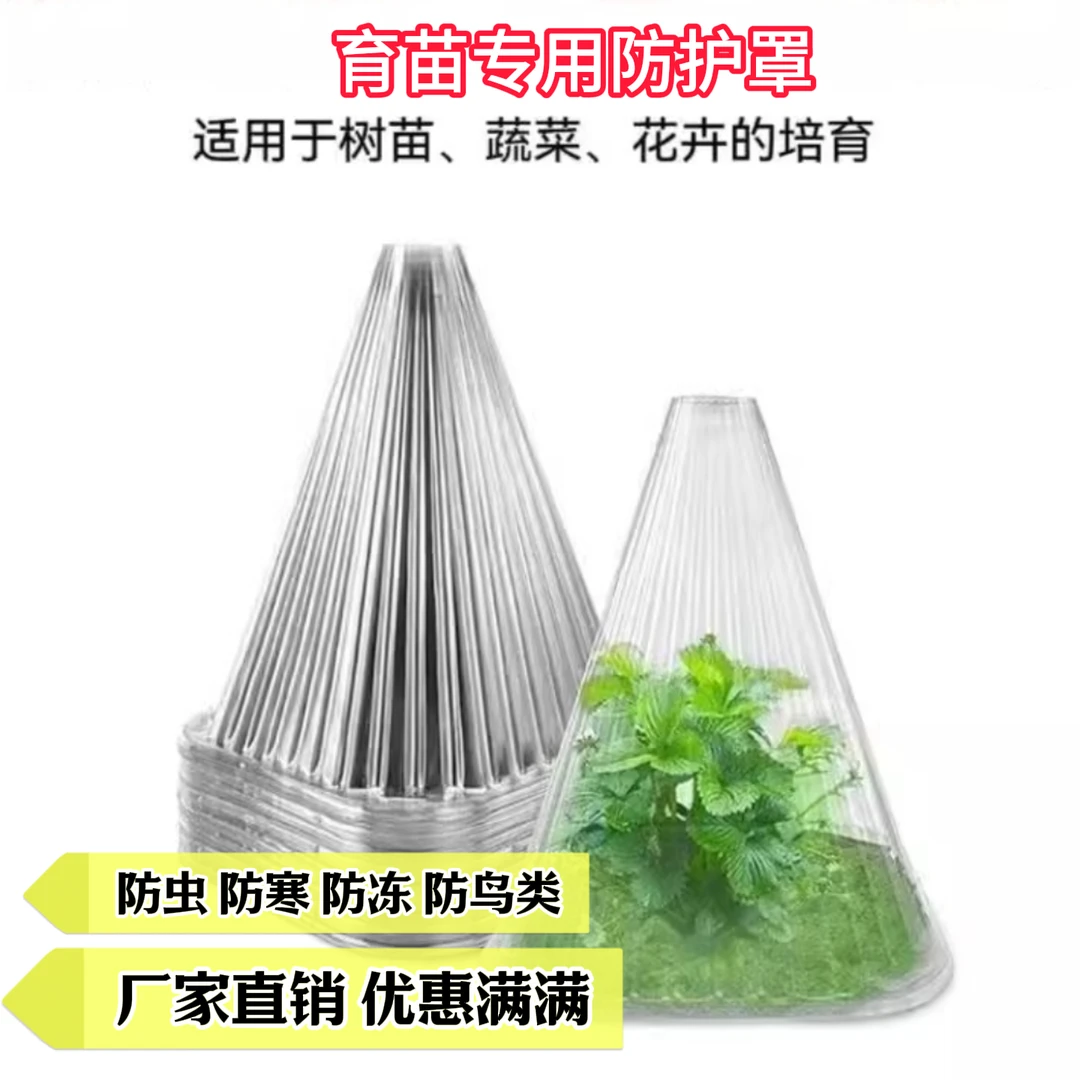 蔬菜植物保护罩菜苗幼苗育苗秧苗大棚育苗保温防虫防鸟防霜保护罩