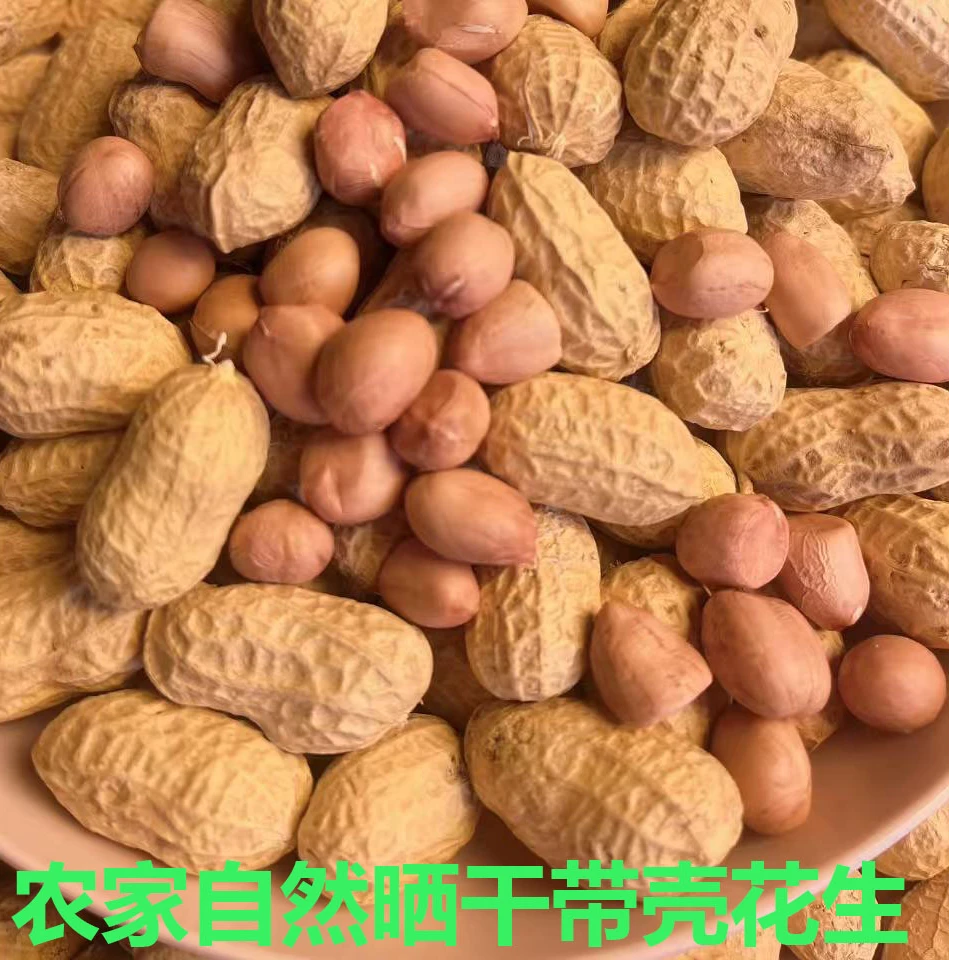24年自然晒干带壳干花生当季农家自种白沙花生可吃可种3斤5斤装
