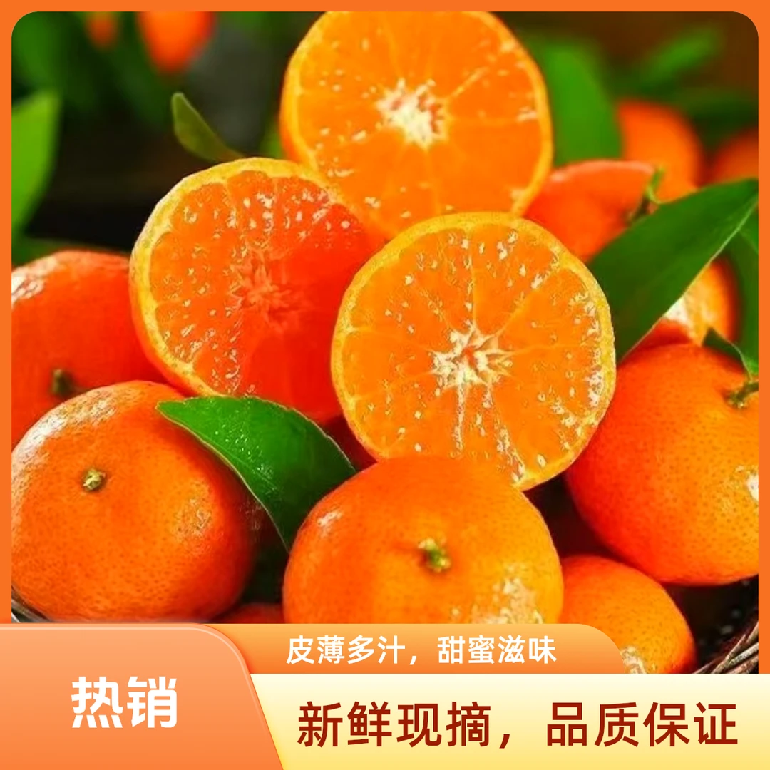 【大橘大利】正宗广西砂糖橘 皮薄肉厚汁水丰富  京津冀顺丰次日达