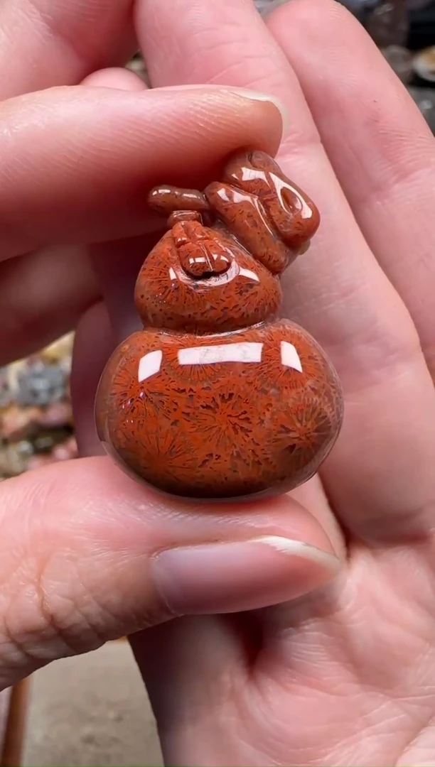 颈饰未镶嵌硅化珊瑚（珊瑚玉）660