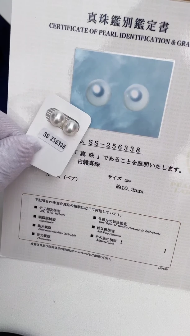未镶嵌海水珍珠耳饰10-11澳白维纳斯带真科研大证