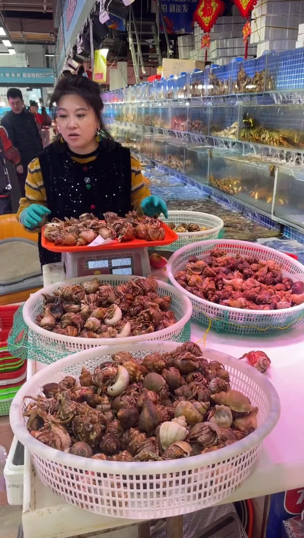 中国大陆断氧母飞8只，4.1斤