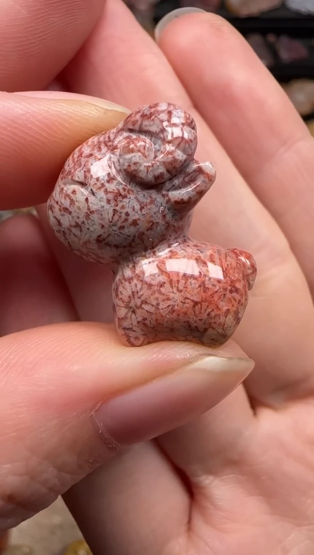 硅化珊瑚（珊瑚玉）未镶嵌颈饰758