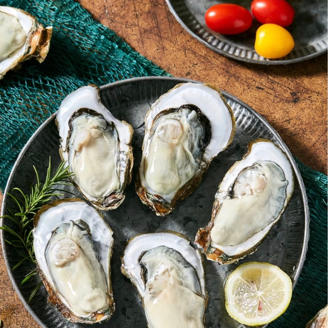 山东乳山生蚝 3XL (拍二发三 ,共三斤）