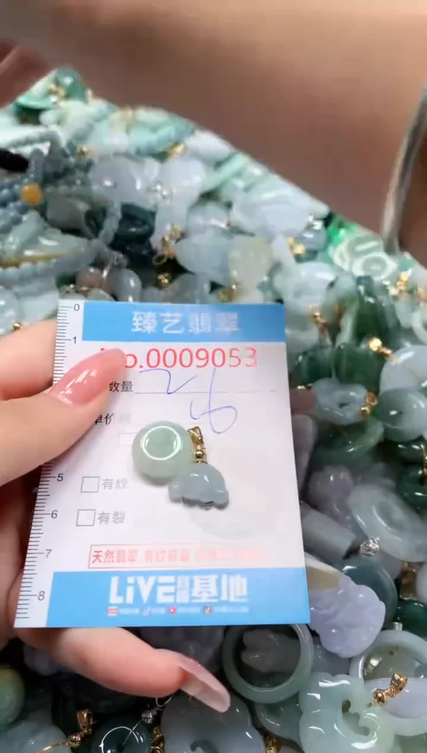 翡翠未镶嵌吊坠(不含链)9053