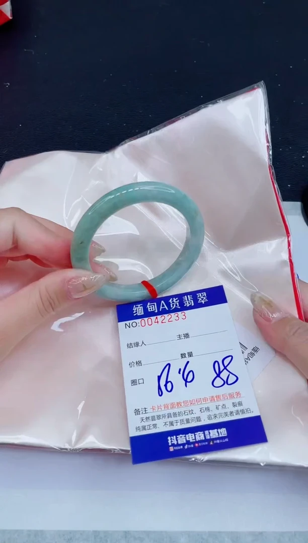 未镶嵌手镯翡翠0299560029