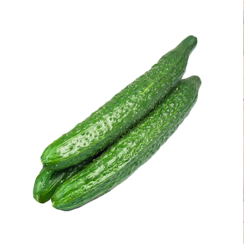 青黄瓜约500g±50g黄瓜同城送黄瓜同城配