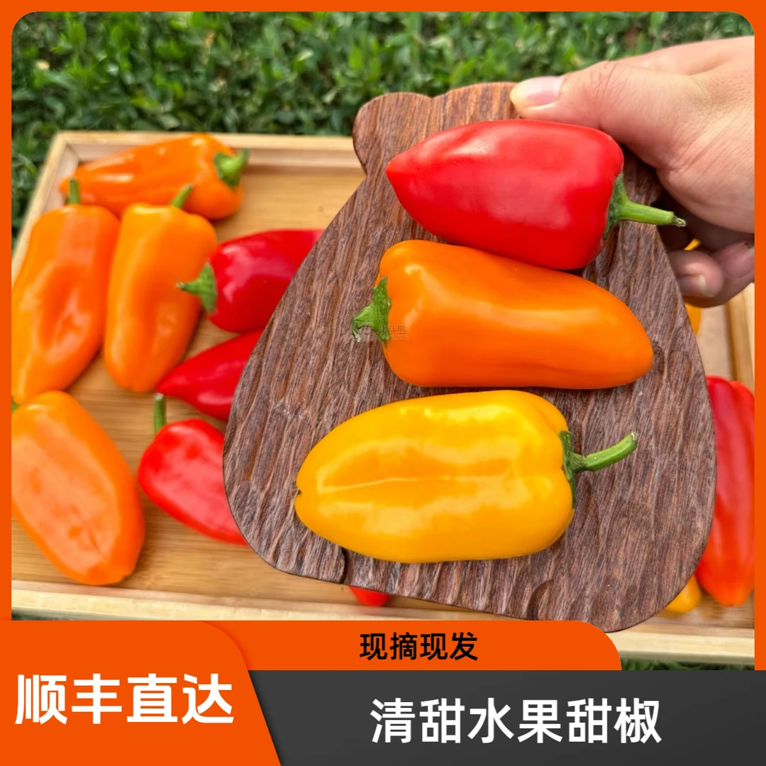 【顺丰发货】清甜现摘水果辣椒彩椒甜椒不辣生吃灯笼椒沙拉轻食