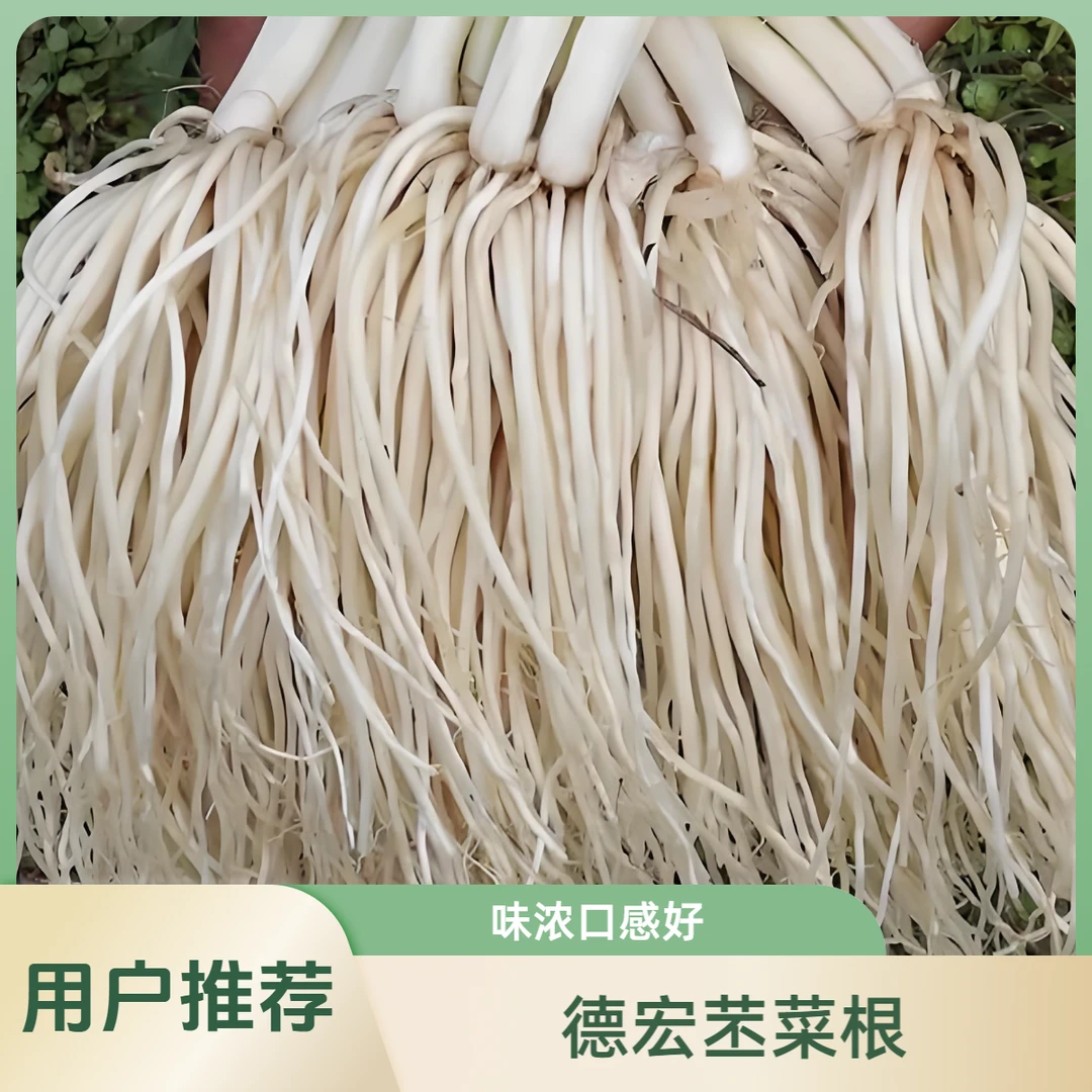 新鲜1斤装苤菜根