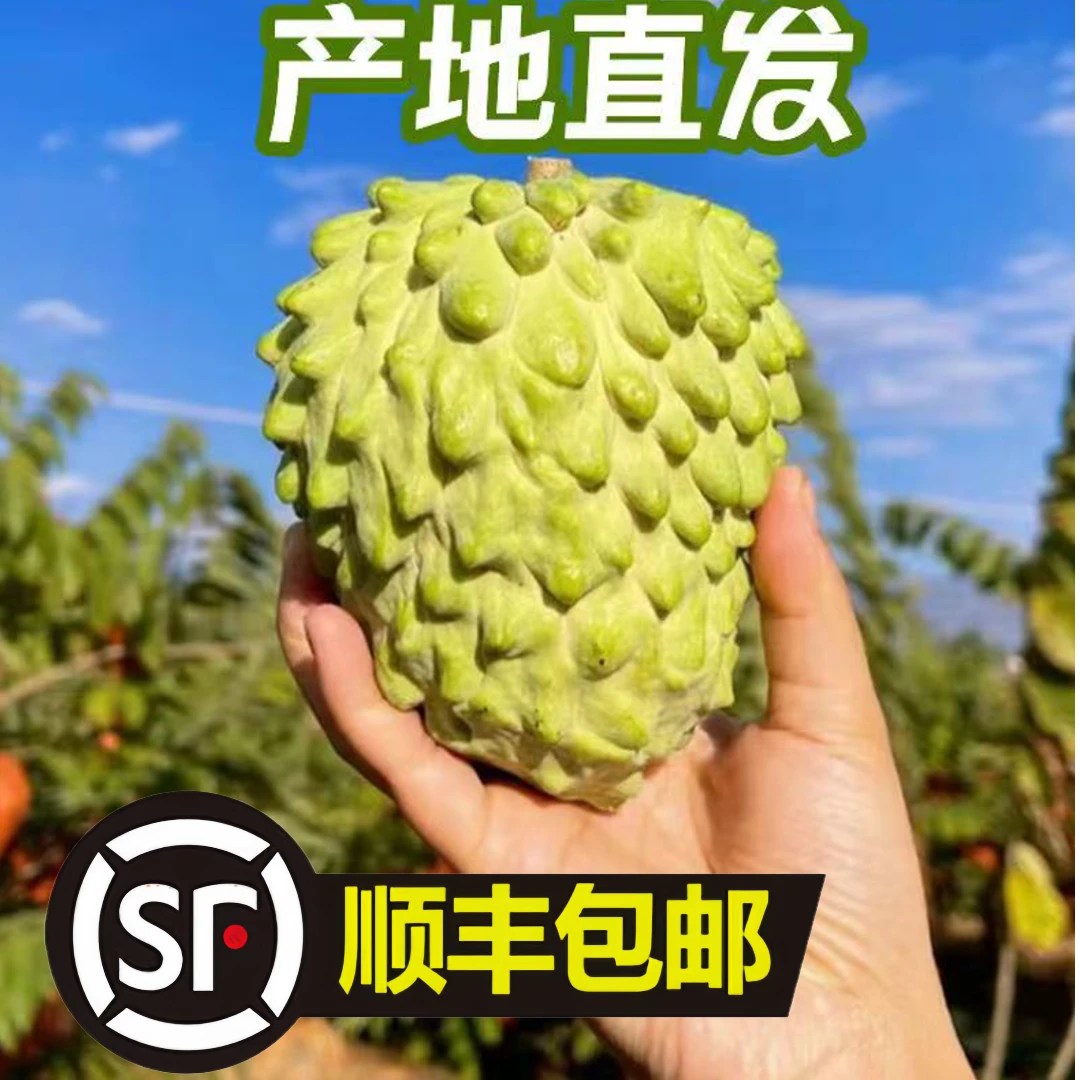 优鲜坐标w基地直发【顺丰包邮 】 云南元谋凤梨释迦果 香甜软糯