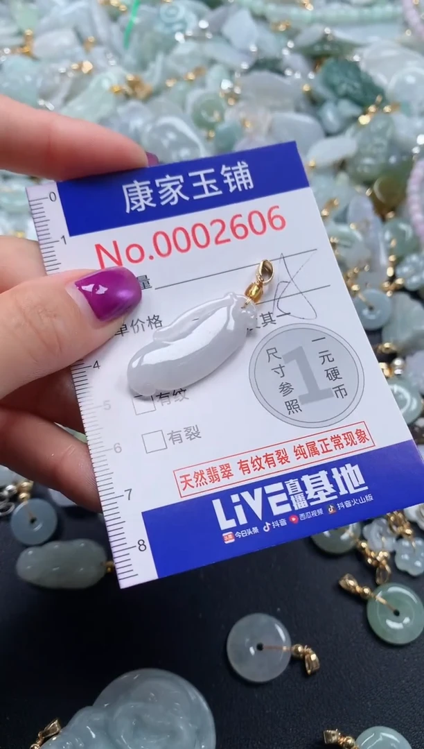 颈饰未镶嵌翡翠2606