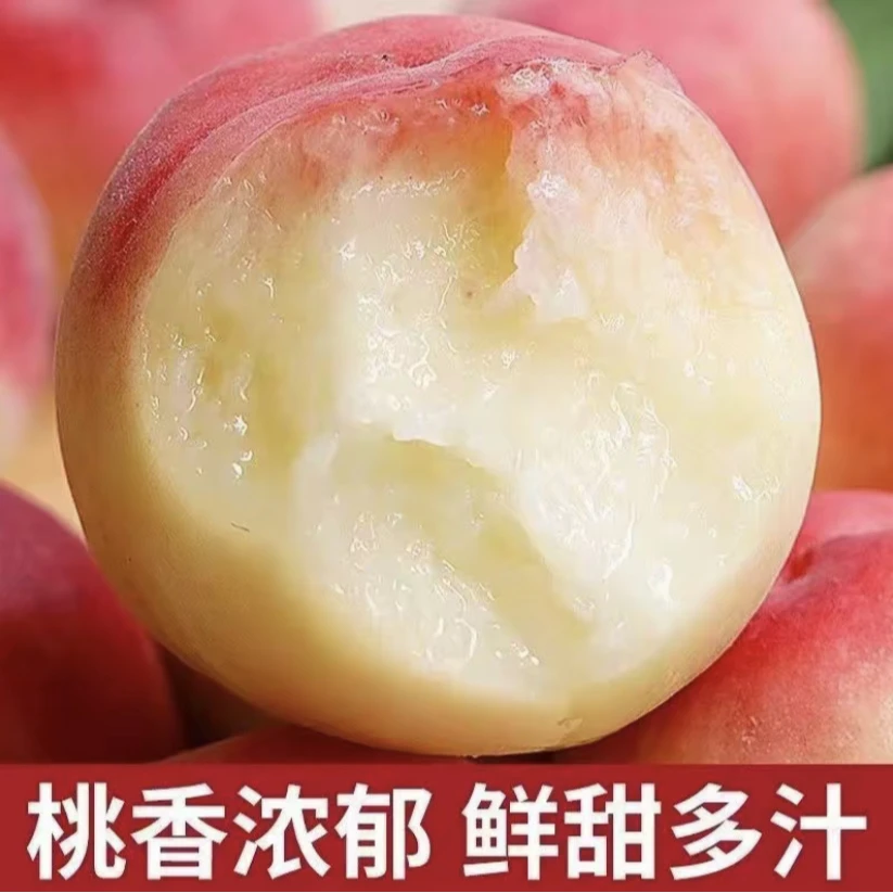 山西水蜜桃新鲜应季水果脆桃香甜多汁现摘直发