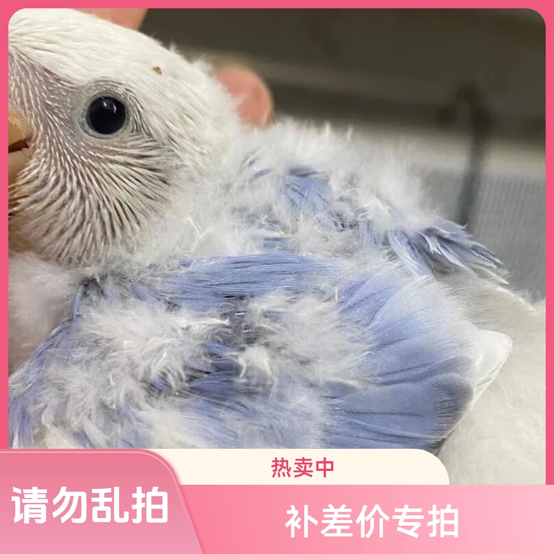 补差专用链接适用于礼盒漏拍情况
