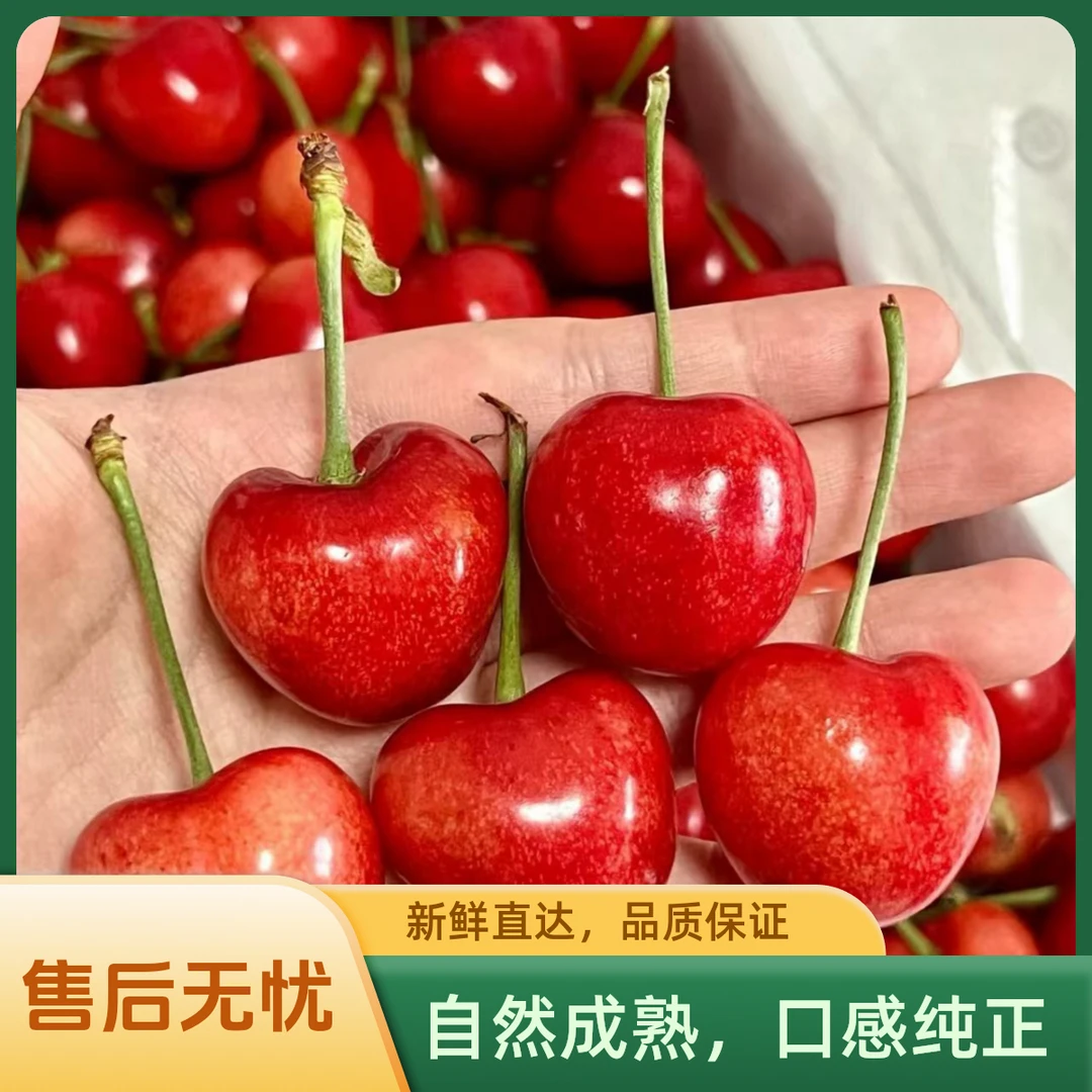 【大连露天金顶红】省内包邮省外空运