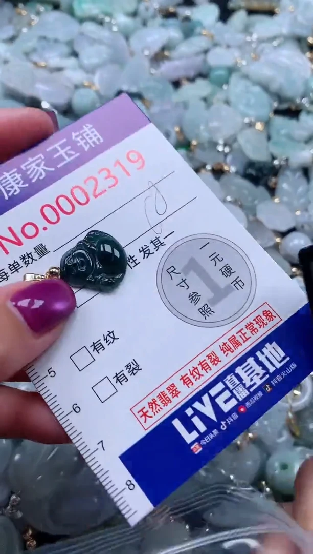 颈饰未镶嵌翡翠2319
