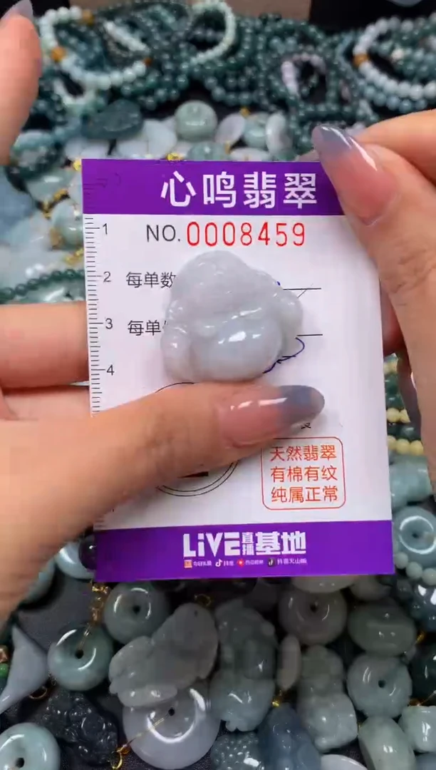 颈饰未镶嵌翡翠闪购008459