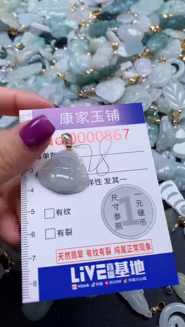 颈饰未镶嵌翡翠867