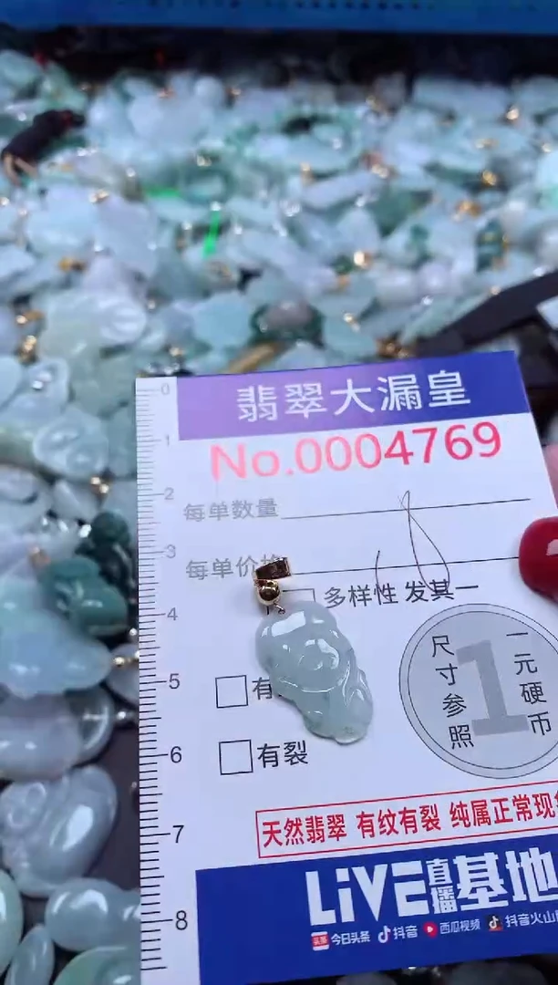 颈饰未镶嵌翡翠4769