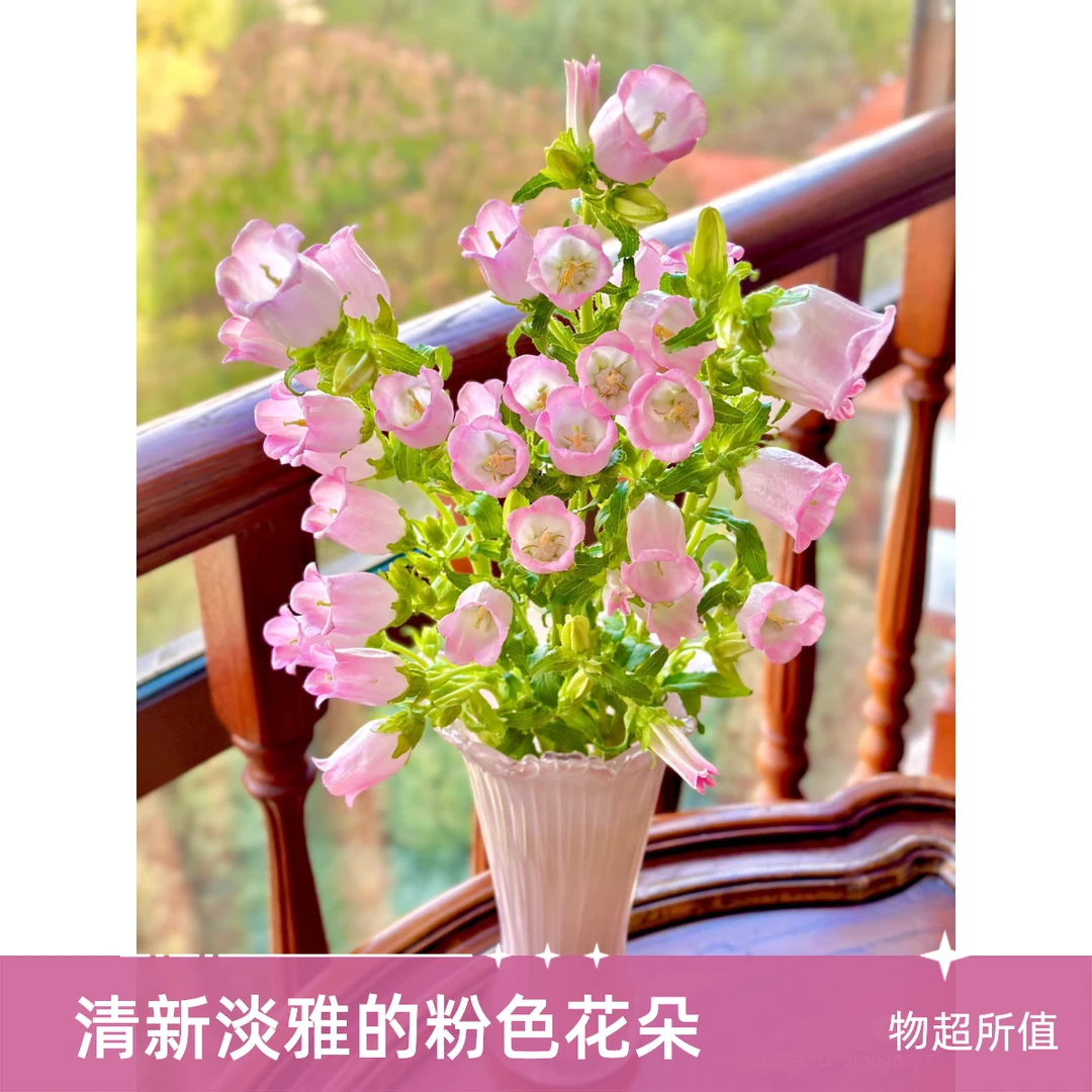 5支装粉色风铃花瓶茶鲜花