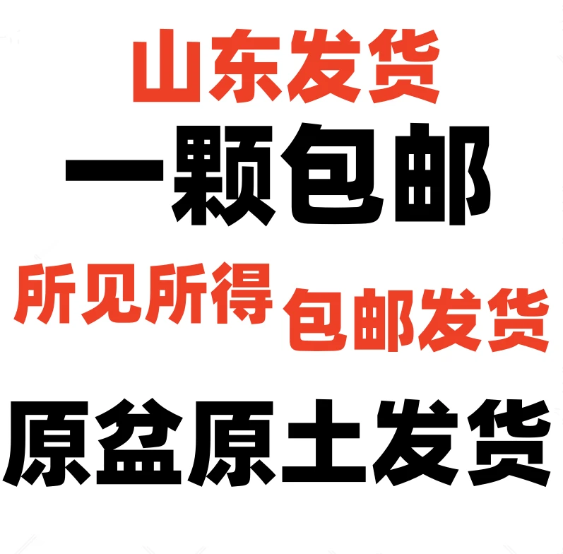 看见啥就是啥 福利款  下单即发货所见即所得   虎刺梅
