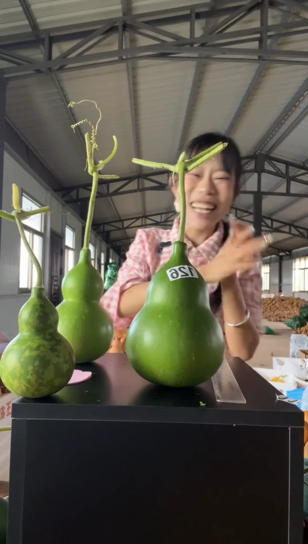 爻126天然葫芦摆件 一物一拍龙头不保售后花叶