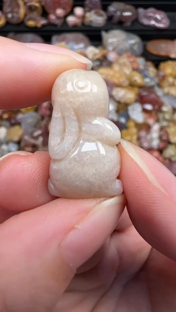 颈饰未镶嵌硅化珊瑚（珊瑚玉）050