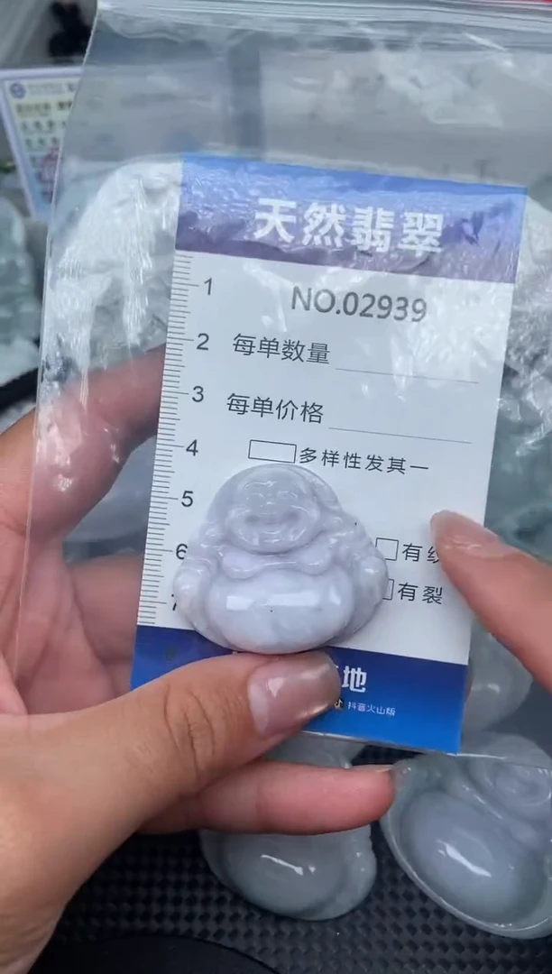 颈饰未镶嵌翡翠纯天然A货翡翠2939