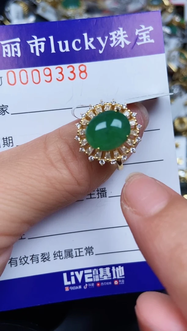 翡翠银S925镶嵌颈饰9338