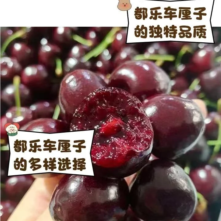 【壹壹生鲜同城配送】都乐智利车厘子/3J/空运 /净重2500g左右智利