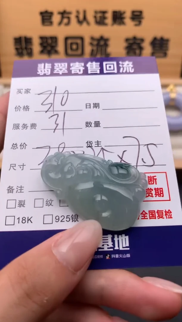 翡翠未镶嵌颈饰10133988