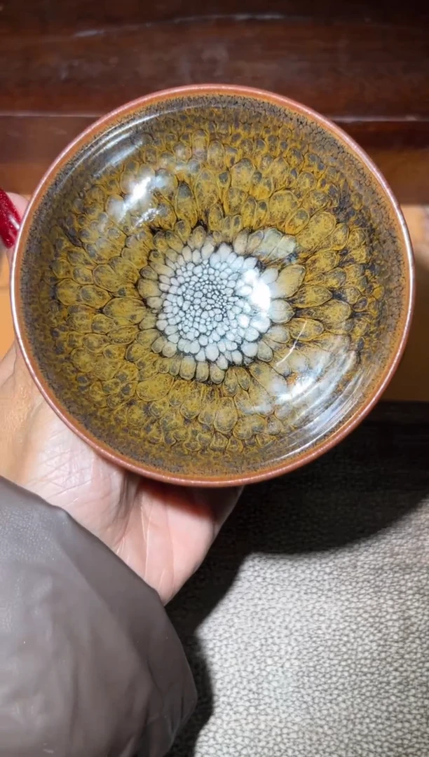 茶盏七彩孔雀创始人连志华老师13