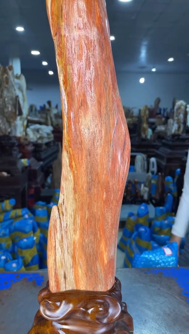 未镶嵌摆件硅化玉10