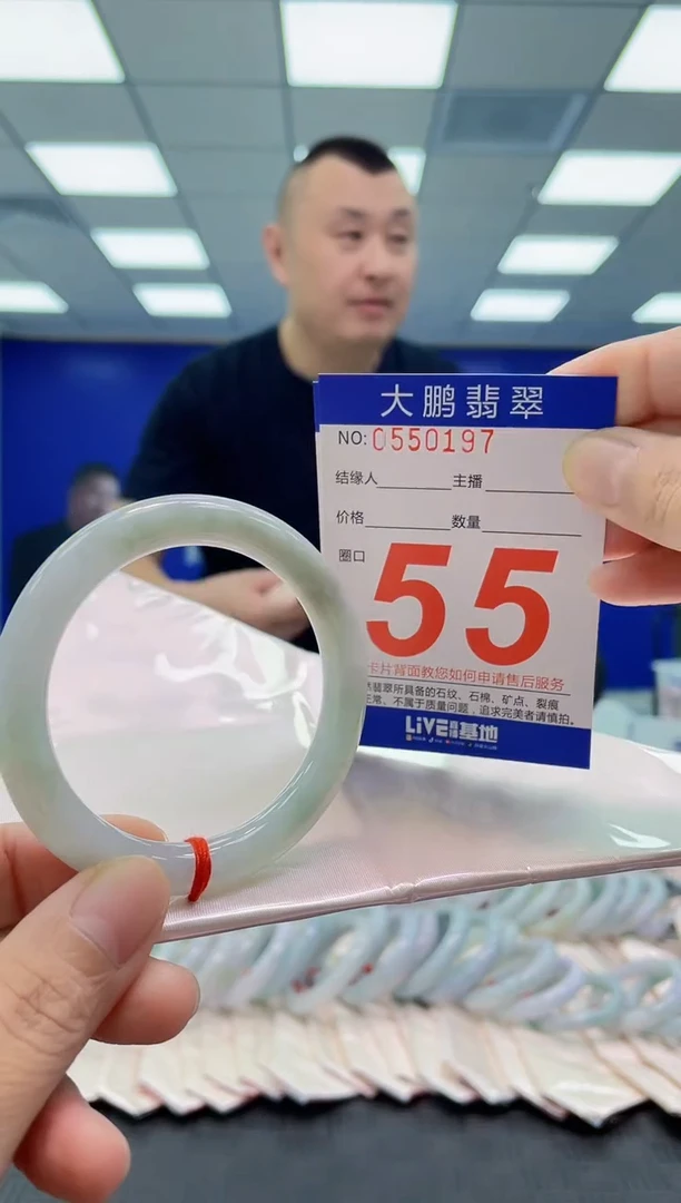 未镶嵌手镯翡翠AAAAAAAAAA
