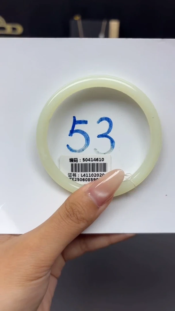 未镶嵌手镯和田玉4610