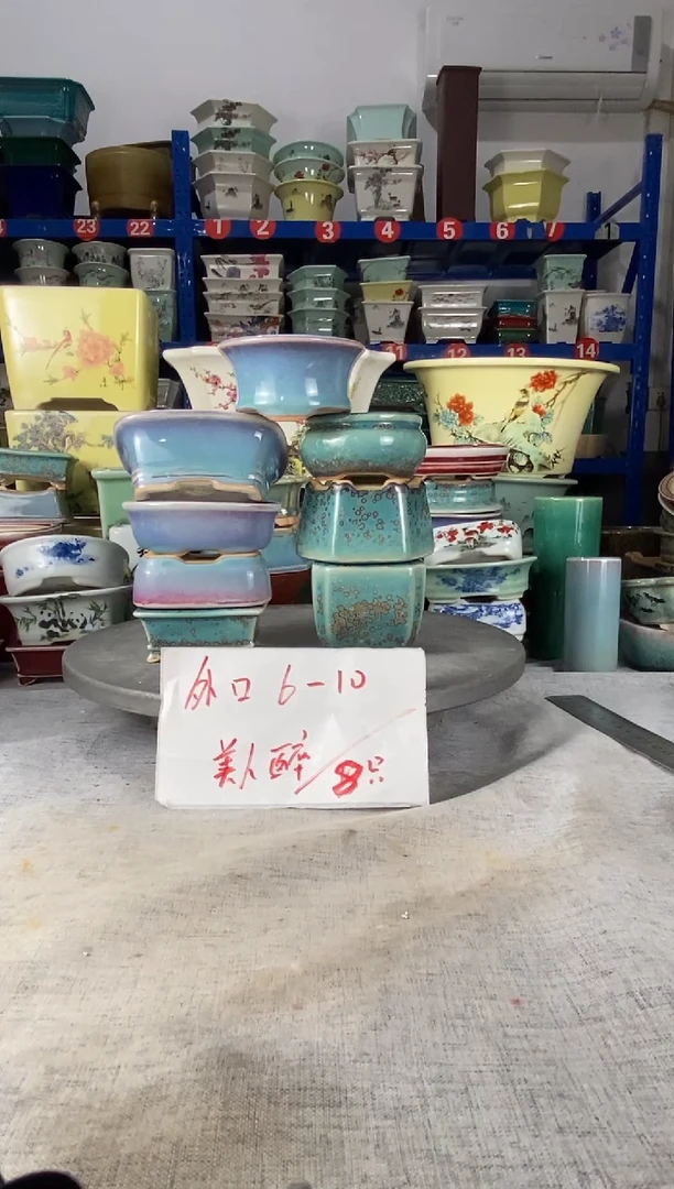 1705八只美人醉花盆