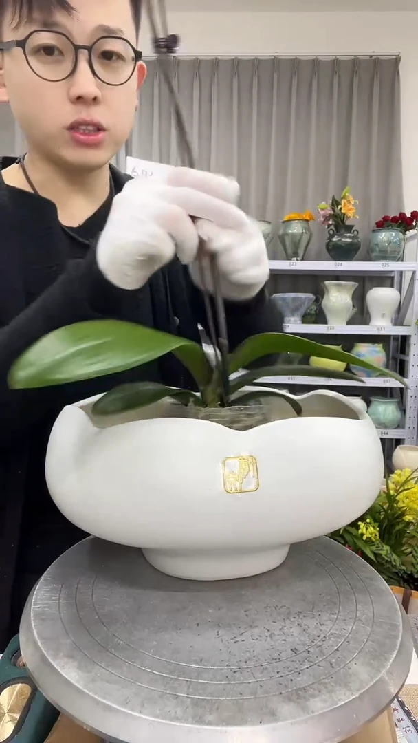 直播链接  高：16   口：25