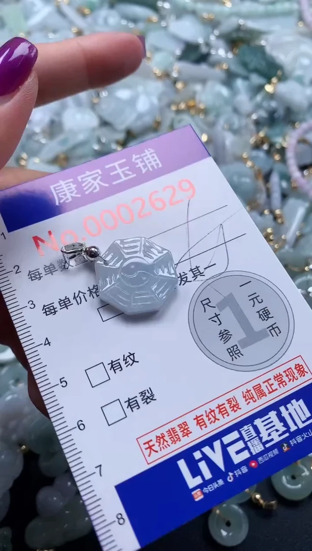颈饰未镶嵌翡翠2629
