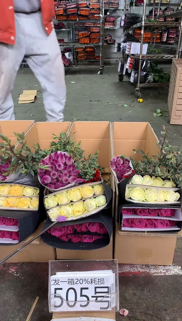 505号♥中通不指定随机颜色含20%耗损发一箱鲜花