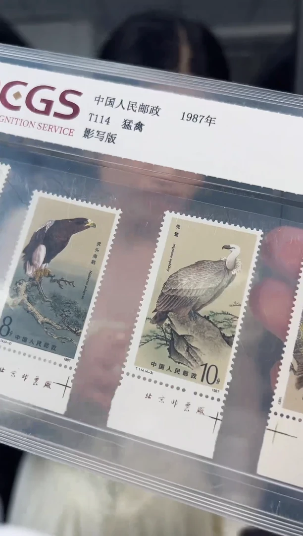 T114 猛禽套票 （三厂铭）邮票
