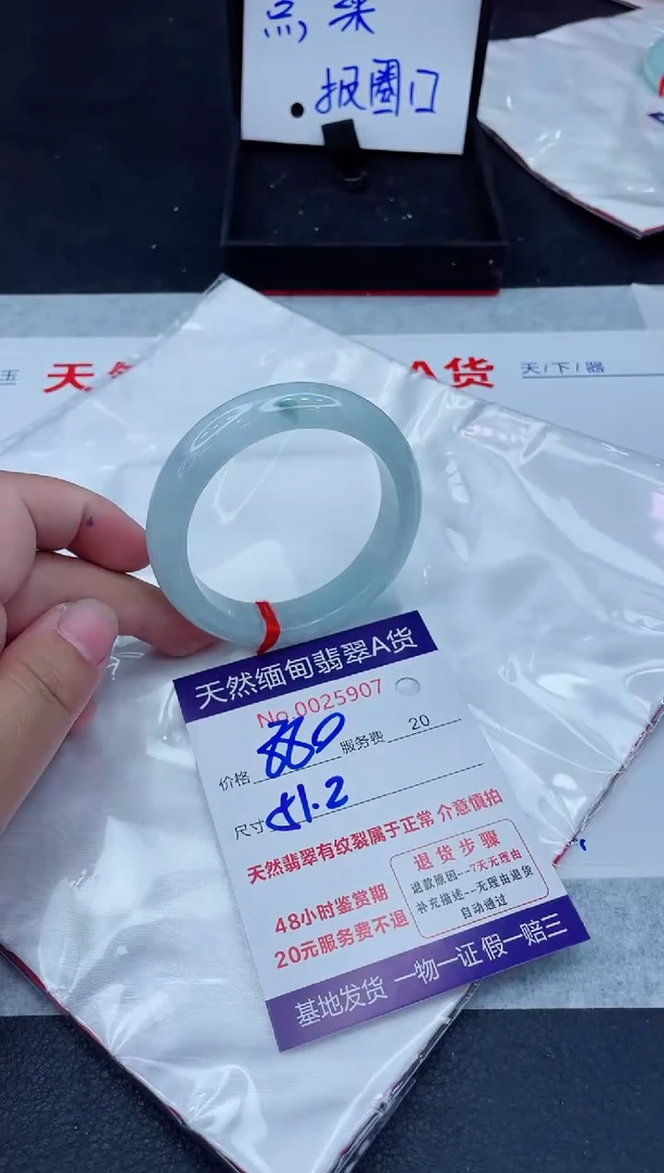 未镶嵌手镯翡翠880.00000