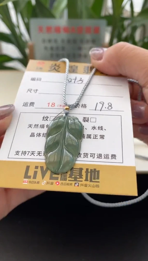 颈饰未镶嵌翡翠叶子微瑕随机发其一
