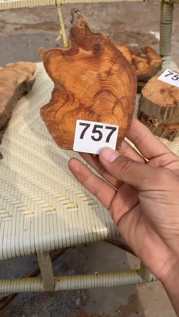 柏木（崖柏）太行陈化崖柏（1单1片）757
