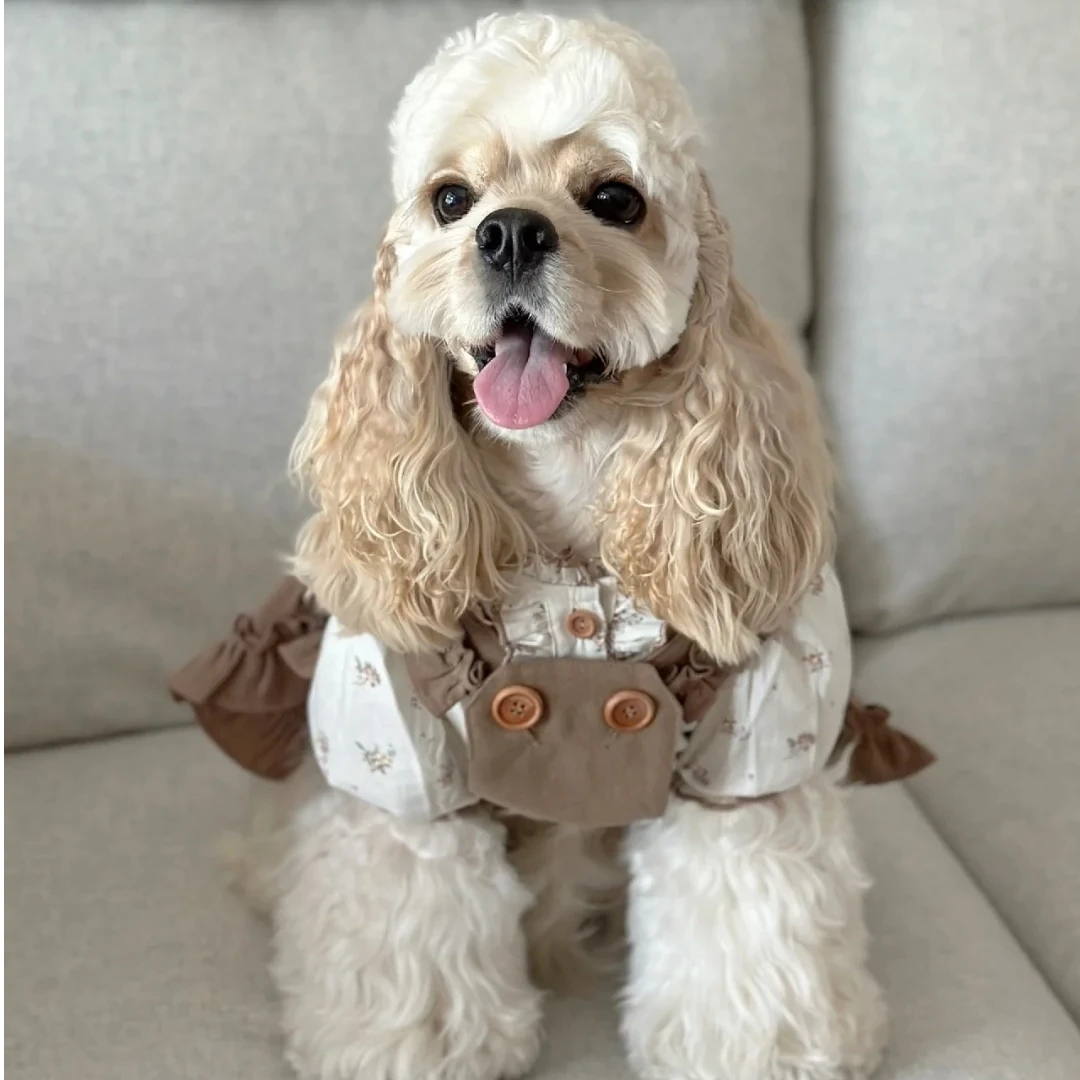 (非全款) 美卡专属宠物犬-门店自提预约链接