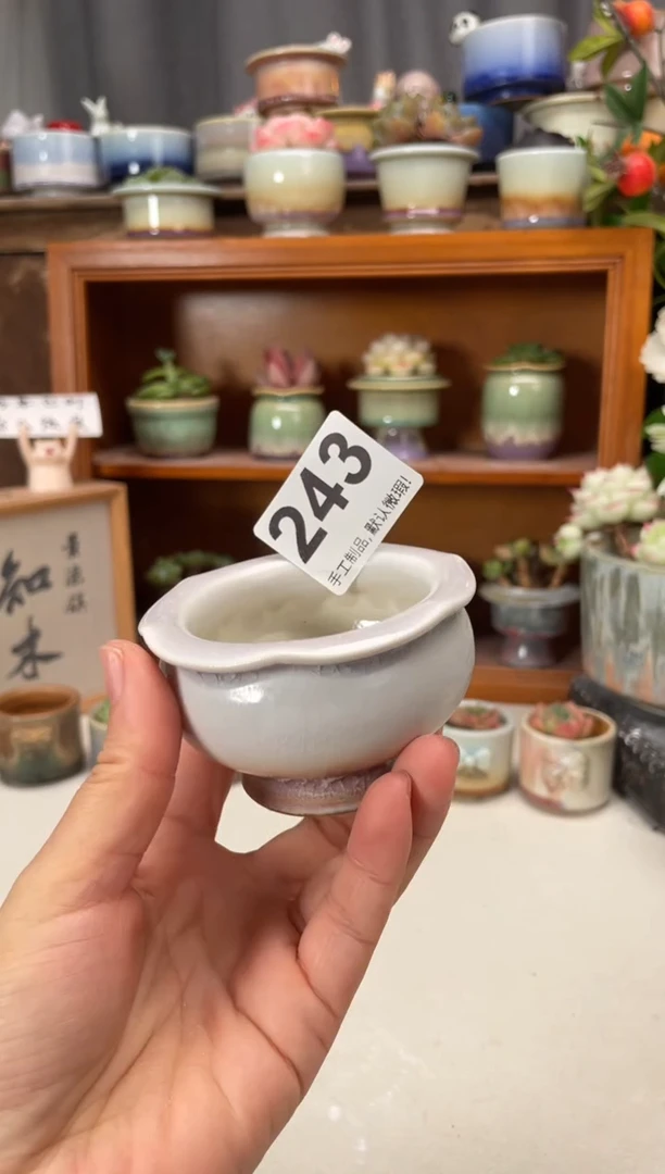瓷片243知木小芳花盆直播编号