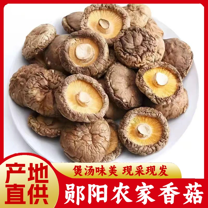 【背头哥专属】头茬农家新货剪角干香菇肉质肥厚农家特产